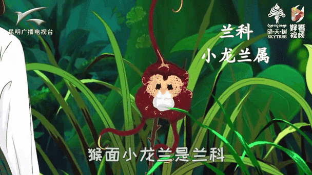 小龙狂飙突进：最新赛事动态掀起DOTA2战术革命